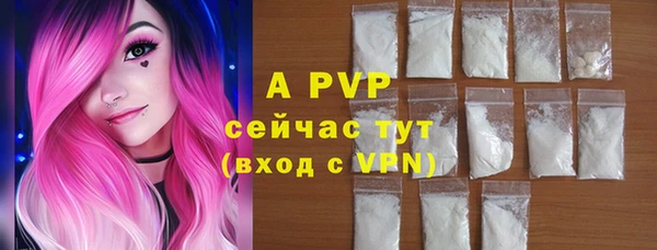 стаф Бородино