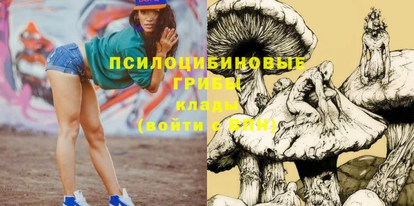 стаф Бородино
