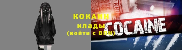 стаф Бородино