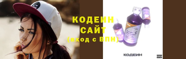 стаф Бородино