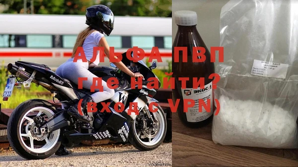 стаф Бородино