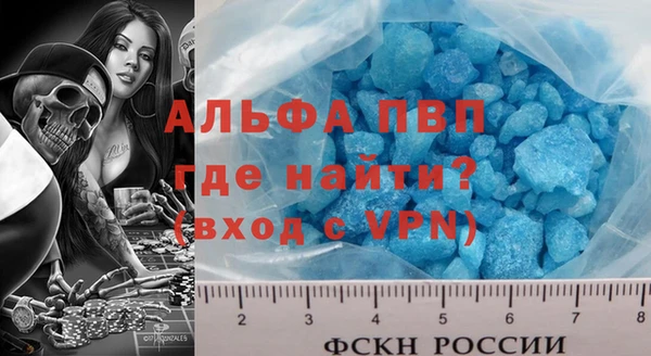 стаф Бородино