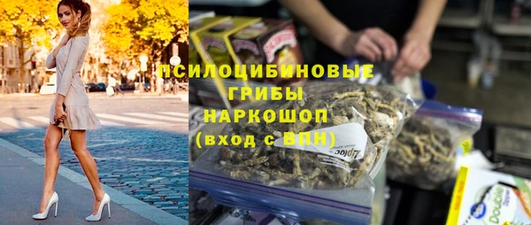 индика Богородск