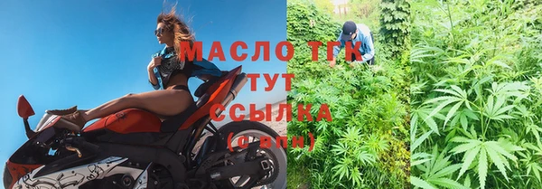 стаф Бородино