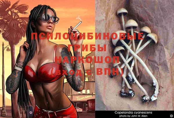 бутик Богданович