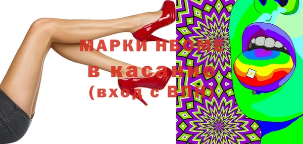 индика Богородск